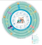 Onion diagram showing the different organisations and people involved in the NHS system